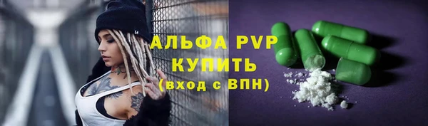 ECSTASY Белокуриха