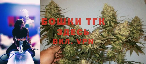 ECSTASY Белокуриха