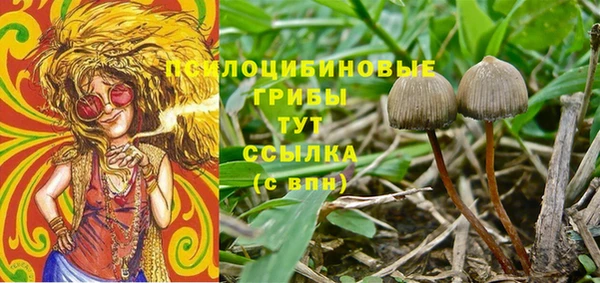 ГАЛЛЮЦИНОГЕННЫЕ ГРИБЫ Беломорск