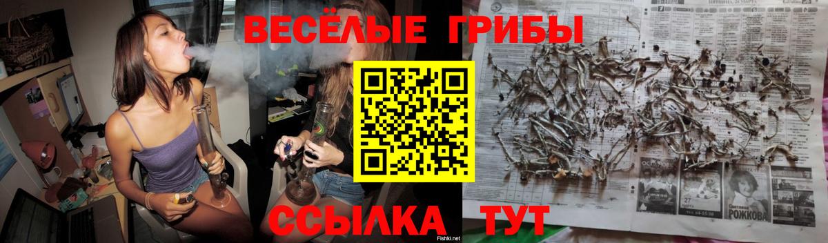 Псилоцибиновые грибы мицелий  Вход с VPN  Пыть-Ях 